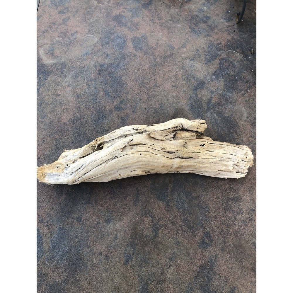 Natural Driftwood for Plants Terrarium Taxidermy Art Projects - Picture 7 of 7